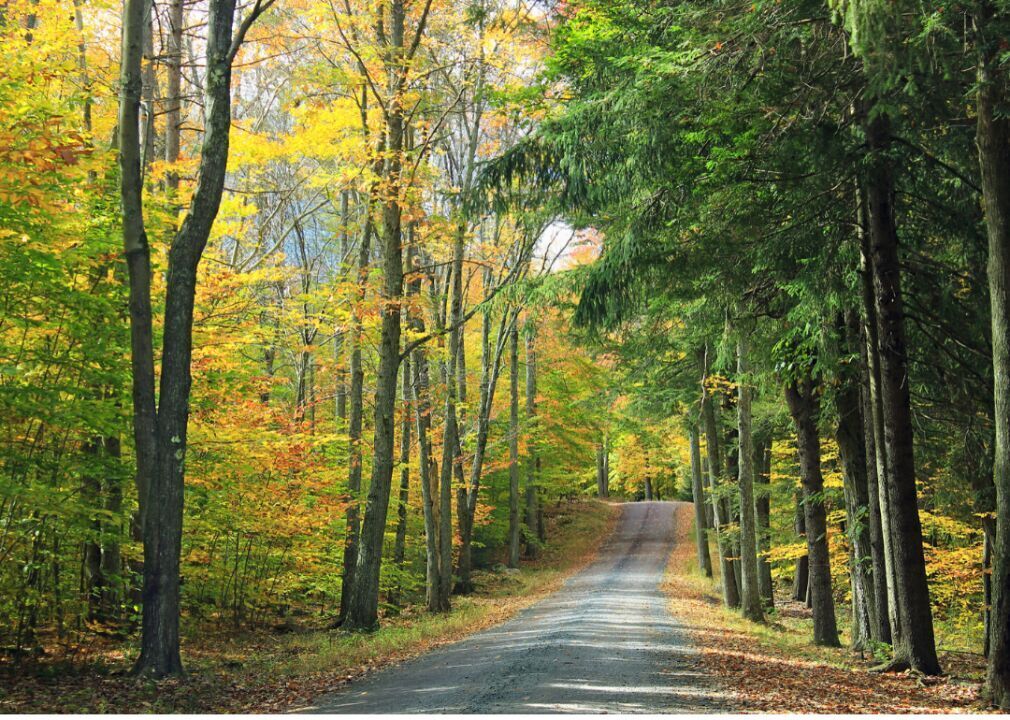 Pennsylvania: Forest County